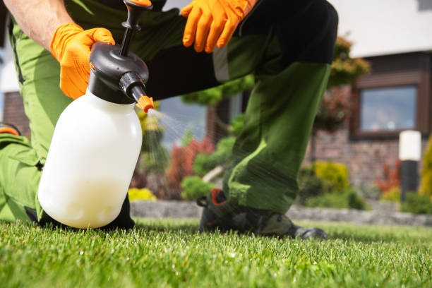 Best Bed Bug Extermination  in Dolgeville, NY